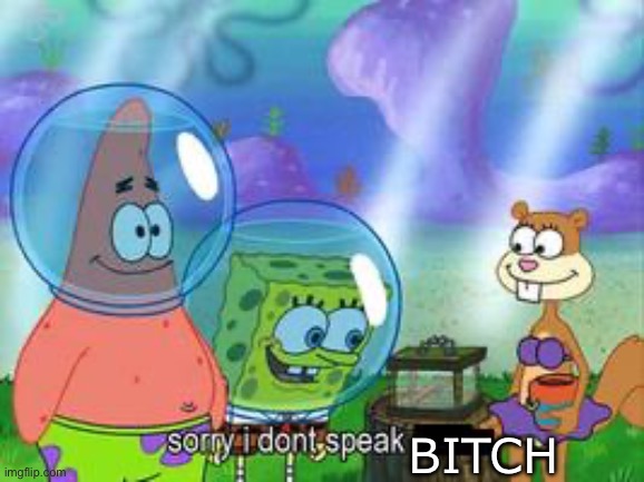 Sorry I don't speak ____ | Bitch | image tagged in sorry i don't speak ____ | made w/ Imgflip meme maker
