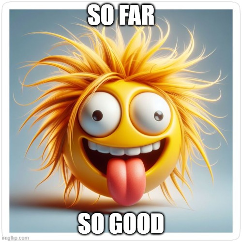 So far so good | so far; so good | image tagged in crazy hair tongue | made w/ Imgflip meme maker