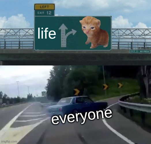 Left Exit 12 Off Ramp Meme | life; everyone | image tagged in memes,left exit 12 off ramp | made w/ Imgflip meme maker