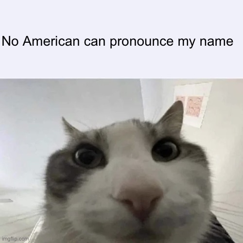 green text cat | No American can pronounce my name | image tagged in green text cat | made w/ Imgflip meme maker