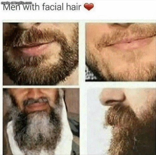 dongs in a beard | image tagged in dongs | made w/ Imgflip meme maker