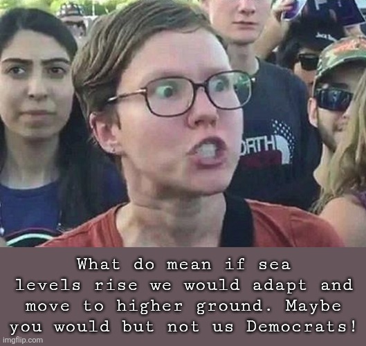 Triggered Liberal | What do mean if sea levels rise we would adapt and move to higher ground. Maybe you would but not us Democrats! | image tagged in triggered liberal | made w/ Imgflip meme maker