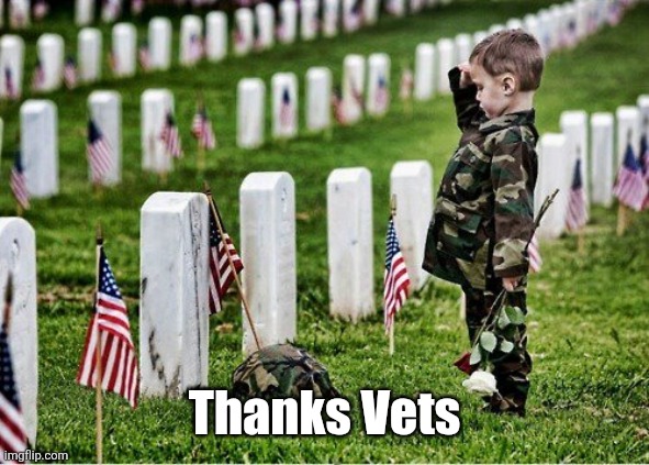 Salute the dead | Thanks Vets | image tagged in salute the dead | made w/ Imgflip meme maker