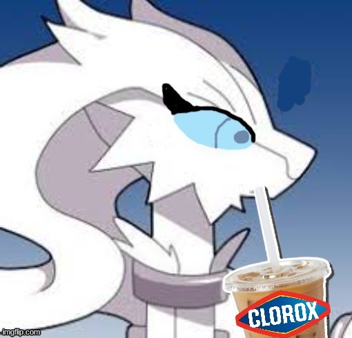 Verita the Reshiram drinking clorox | image tagged in verita the reshiram drinking clorox | made w/ Imgflip meme maker