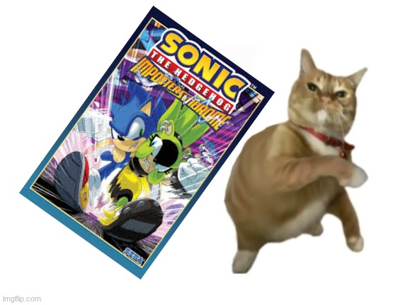 throwing cat new | image tagged in throwing cat new | made w/ Imgflip meme maker