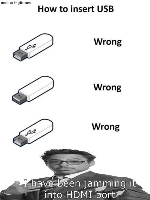 dongs in a usb | image tagged in dongs | made w/ Imgflip meme maker