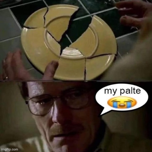 how come I don't post shit yet I still expect to ever be mentioned by someone else | image tagged in my palte | made w/ Imgflip meme maker