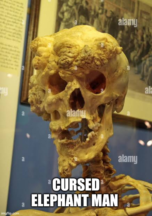 Cursed elephant man | made w/ Imgflip meme maker