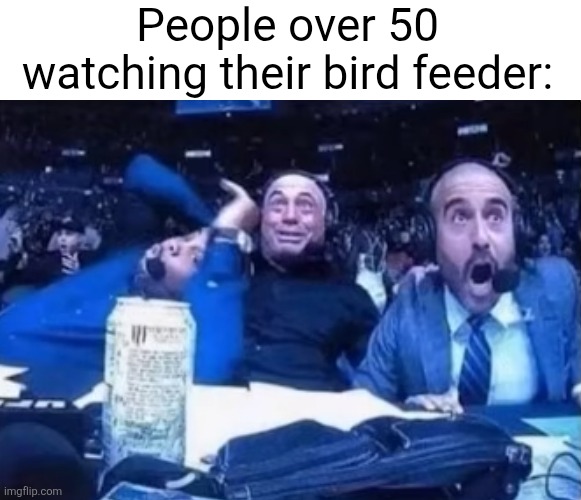 People over 50 watching their bird feeder: | image tagged in memes,not repost,original meme | made w/ Imgflip meme maker