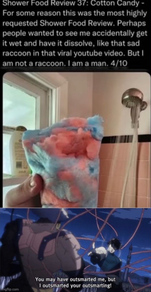 image tagged in you may have outsmarted me but i outsmarted your understanding,shower,food,cotton candy,smart,raccoon | made w/ Imgflip meme maker