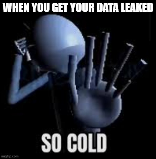 So cold | When you get your data leaked | image tagged in so cold | made w/ Imgflip meme maker