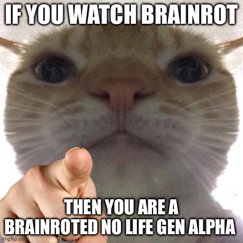Cat point at you | If you watch brainrot; Then you are a brainroted no life Gen Alpha | image tagged in cat point at you | made w/ Imgflip meme maker