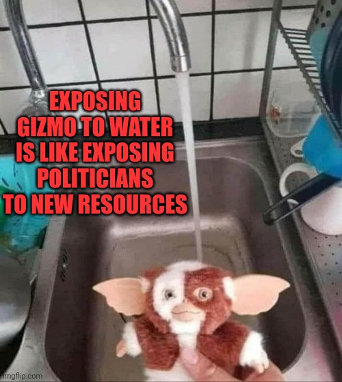Gizmo shower | Exposing gizmo to water is like exposing politicians to new resources | image tagged in gizmo shower | made w/ Imgflip meme maker