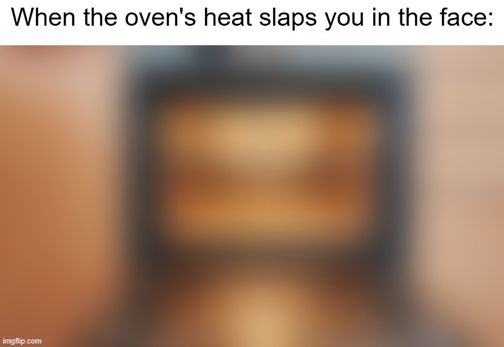 mmmmm fried face | When the oven's heat slaps you in the face: | image tagged in memes,oven,funny,pain,relatable,blurry | made w/ Imgflip meme maker