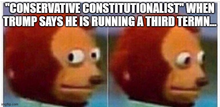 conservative constitutionalist | "conservative constitutionalist" when Trump says he is running a third termn... | image tagged in donald trump,trump,maga,nevertrump,conservative,trump sucks | made w/ Imgflip meme maker