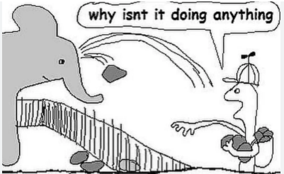 Guy throwing rocks at Elephant Blank Meme Template