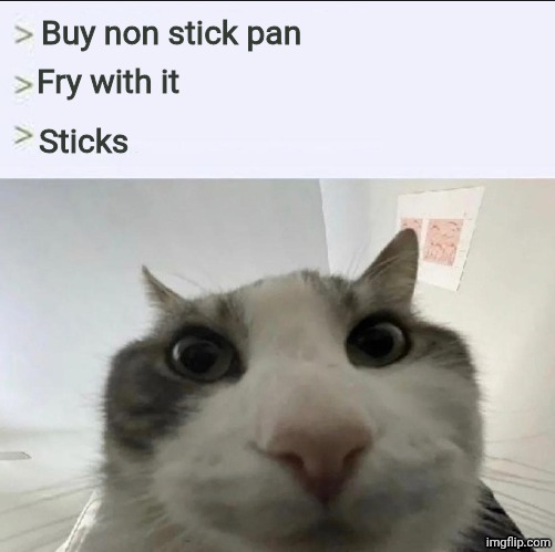 False advertising | Buy non stick pan; Fry with it; Sticks | image tagged in cat looks inside,non stick pans are a lie | made w/ Imgflip meme maker