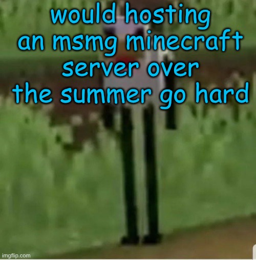 im like 4 weeks away from summer so | would hosting an msmg minecraft server over the summer go hard | image tagged in cursed minecraft chicken | made w/ Imgflip meme maker