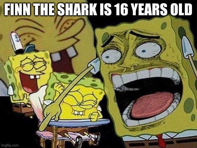 GET OFF THE INTERNET CHILD | Finn the Shark is 16 years old | image tagged in spongebob laughing hysterically,cringe,my haters,finn the shark,memes,finn | made w/ Imgflip meme maker