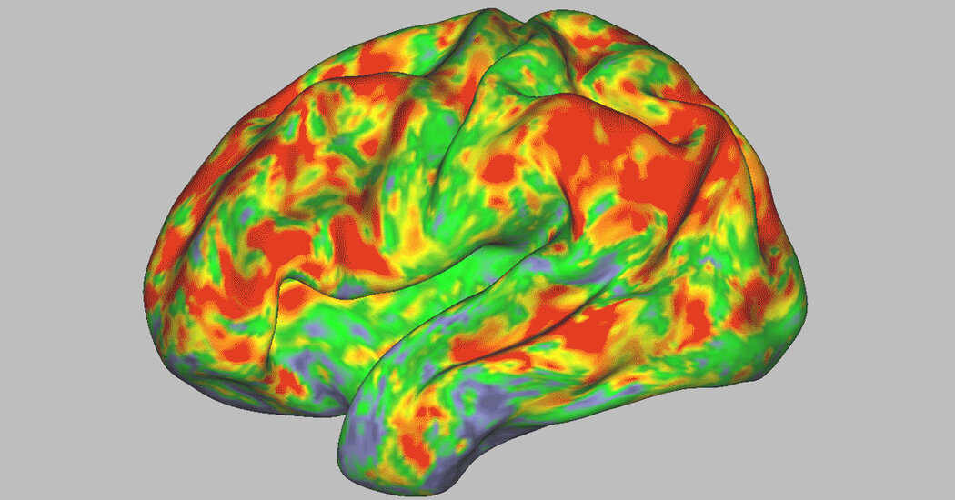Orange brain Blank Meme Template