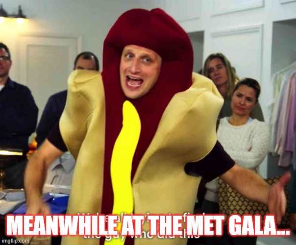 Hi Dog | Meanwhile at the Met Gala... | image tagged in met gala,spoiled celebrities,anna wintour's lunch | made w/ Imgflip meme maker
