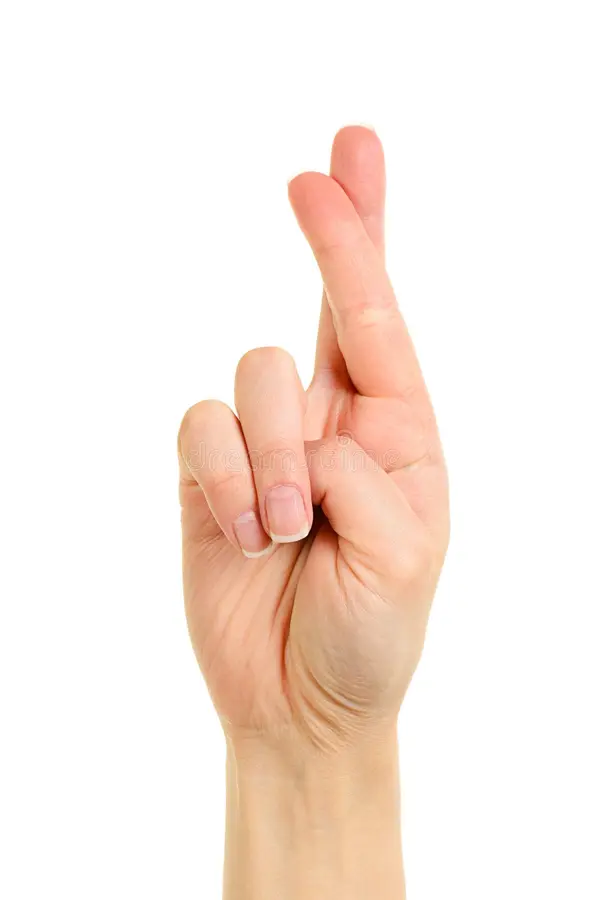 Fingers crossed Blank Meme Template