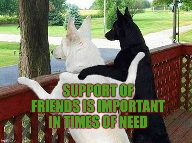 Support of friends is important in times of need | Support of friends is important in times of need | image tagged in looking back,autism,friends,support,struggle | made w/ Imgflip meme maker