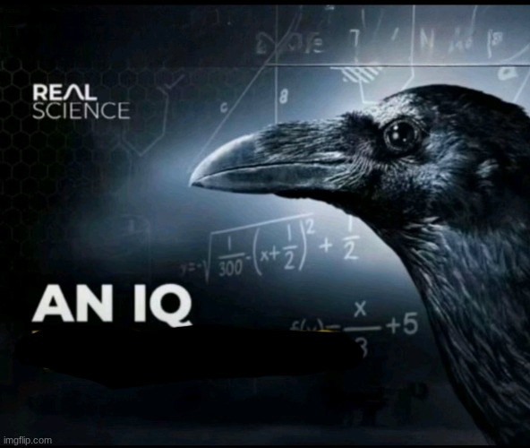 an iq too high? | image tagged in an iq too high | made w/ Imgflip meme maker