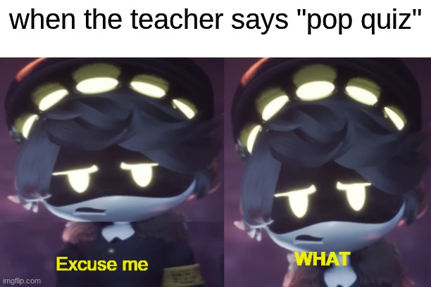 Excuse me WHAT N edition | when the teacher says "pop quiz" | image tagged in excuse me what n edition | made w/ Imgflip meme maker
