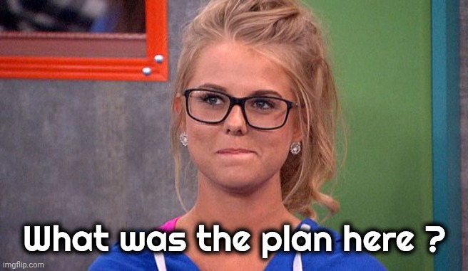 Nicole 's thinking | What was the plan here ? | image tagged in nicole 's thinking | made w/ Imgflip meme maker