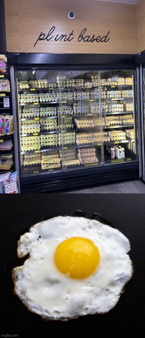 Plant based | image tagged in eggs,egg,memes,food,plant,you had one job | made w/ Imgflip meme maker
