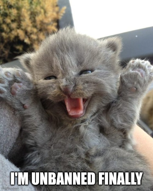 Yay Kitty | I'm unbanned finally | image tagged in yay kitty | made w/ Imgflip meme maker