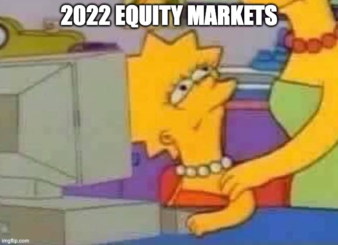 Lisa Simpson Computer | 2022 equity markets | image tagged in lisa simpson computer | made w/ Imgflip meme maker