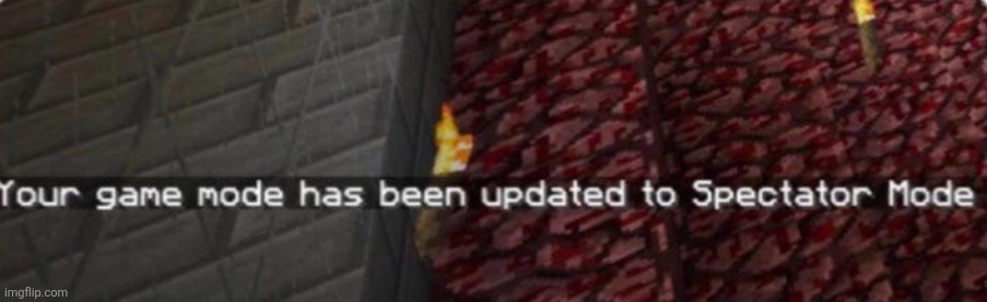 image tagged in minecraft spectator | made w/ Imgflip meme maker