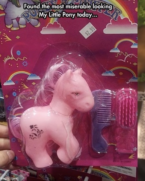 Miserable mlp toy | image tagged in img_0124 jpeg | made w/ Imgflip meme maker