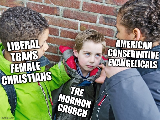 Truly the great unifier | Liberal trans female Christians; American conservative evangelicals; The Mormon church | image tagged in kids about to give the beatdown,bullying,fight,funny,religion,kids | made w/ Imgflip meme maker