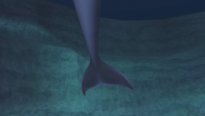 Sora's tail Blank Meme Template