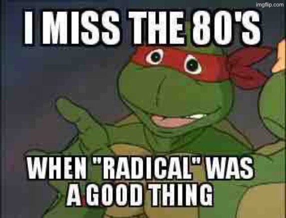 Yes I miss the 80's | image tagged in miss you,1980's,relatable memes,radical,teenage mutant ninja turtles,relatable | made w/ Imgflip meme maker