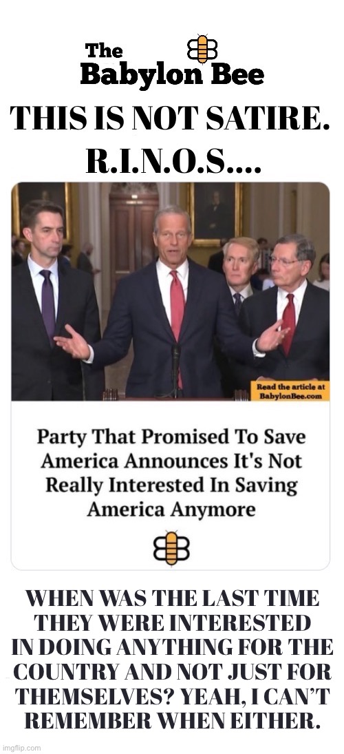 Rinos are basically the lap dogs of the Democrats | When was the last time 
they were interested 
in doing anything for the 
country and not just for 
themselves? Yeah, I can’t 
remember when either. | image tagged in political meme,babylon bee,rinos,not interested,the uniparty,they could not care less | made w/ Imgflip meme maker