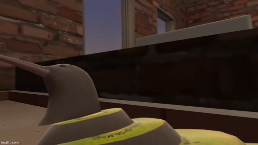 Cursed Kiwi | image tagged in cursed kiwi | made w/ Imgflip meme maker
