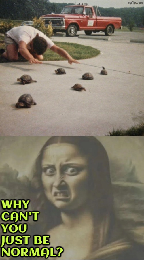 Turtle Worshipper | Why can't you just be normal? | image tagged in cursed images,why can't you just be normal,reactions,facial expressions,i like turtles,just why | made w/ Imgflip meme maker