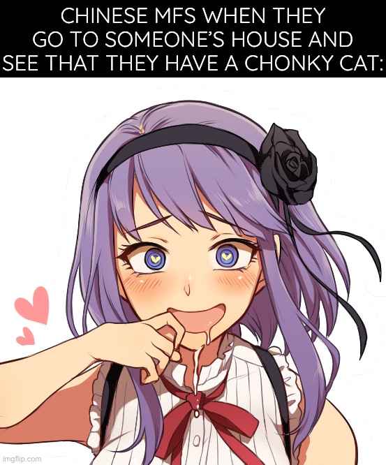 When the chicken nugget starts purring | Chinese MFs when they go to someone’s house and see that they have a chonky cat: | image tagged in drool girl,cat,meow,chinese,china,dark humor | made w/ Imgflip meme maker