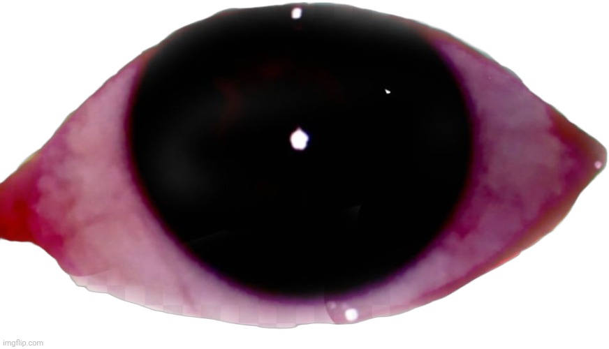 The Eye | image tagged in the eye | made w/ Imgflip meme maker