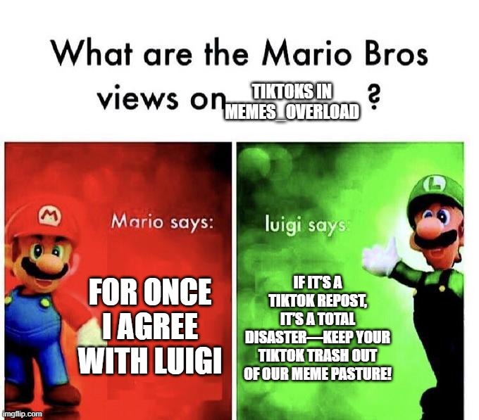 Mario Bros Views | tiktoks in memes_overload; for once i agree with luigi; if it’s a tiktok repost, it’s a total disaster—keep your TikTok trash out of our meme pasture! | image tagged in mario bros views | made w/ Imgflip meme maker