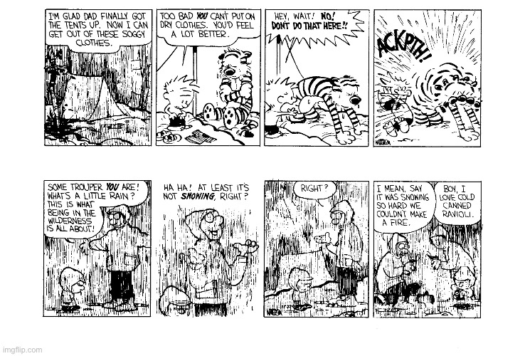 image tagged in calvin and hobbes,comics | made w/ Imgflip meme maker
