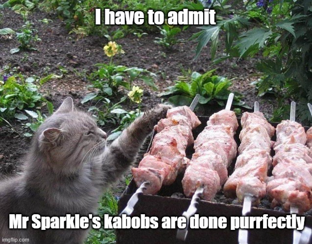 Mr Sparkles Kabob | I have to admit; Mr Sparkle's kabobs are done purrfectly | image tagged in cat,grilling,yummy,kabob | made w/ Imgflip meme maker