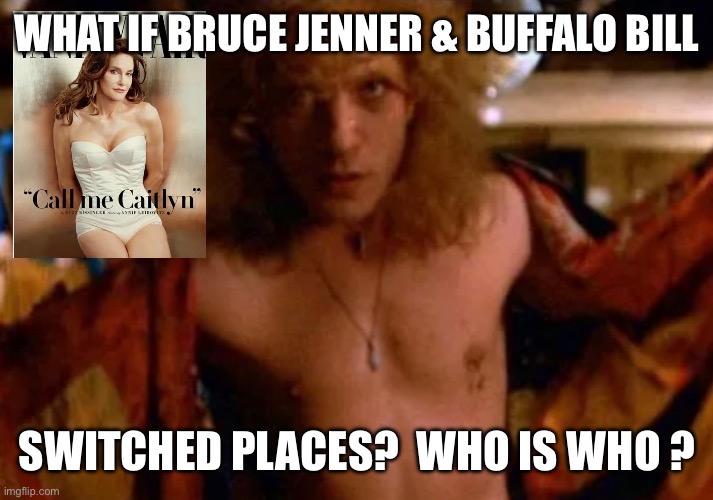 What if Caitlyn Jenner and Buffalo Bill Switched Decades | What if Bruce Jenner & Buffalo Bill; Switched Places?  Who is Who ? | image tagged in img_2726 jpeg | made w/ Imgflip meme maker