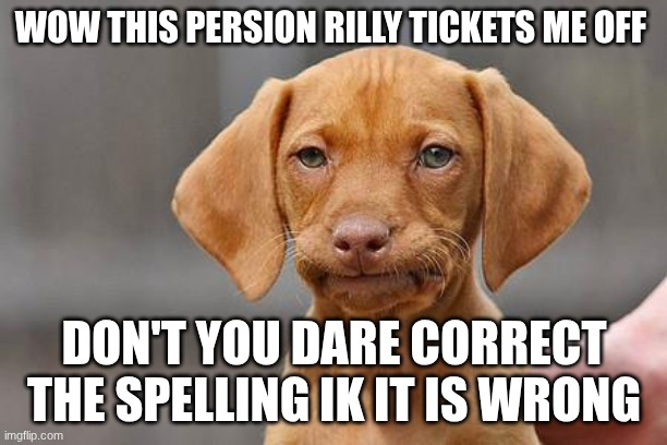 Dissapointed puppy | wow this persion rilly tickets me off don't you dare correct the spelling ik it is wrong | image tagged in dissapointed puppy | made w/ Imgflip meme maker