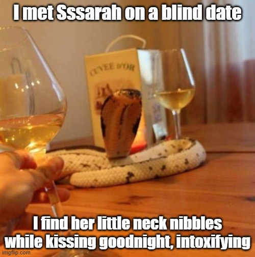 Blinding Date | I met Sssarah on a blind date; I find her little neck nibbles while kissing goodnight, intoxifying | image tagged in snake,date,bite,we're all gonna die | made w/ Imgflip meme maker