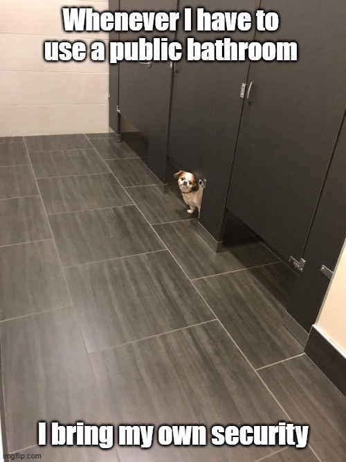 Bathroom Security | Whenever I have to use a public bathroom; I bring my own security | image tagged in bathroom,security,mind your own business,potty time | made w/ Imgflip meme maker